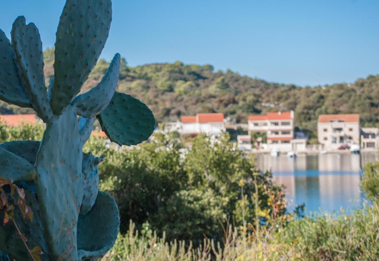Apartmani Jagoda Λάστοβο Εξωτερικό φωτογραφία